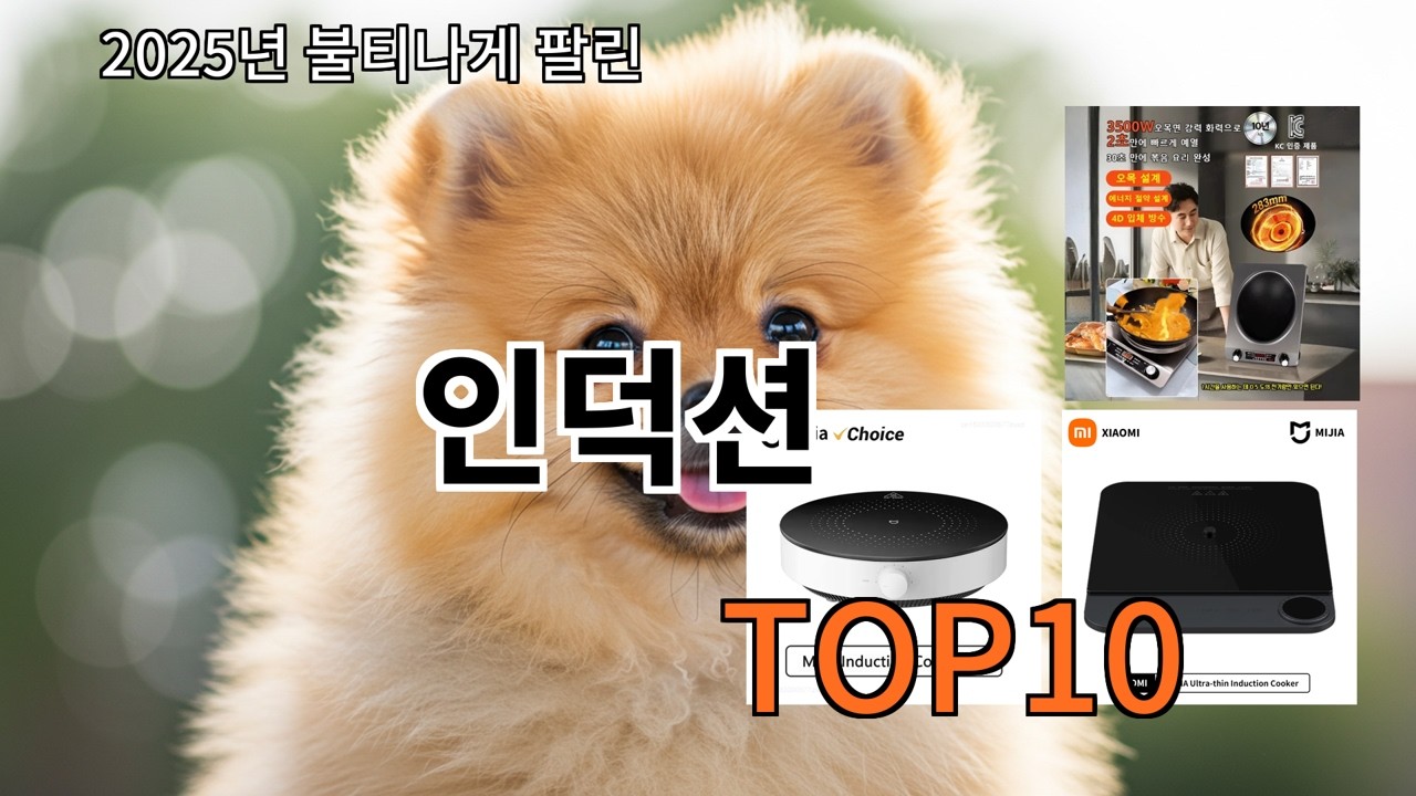 알리 인덕션 가격 대비 성능 미친 알리 제품