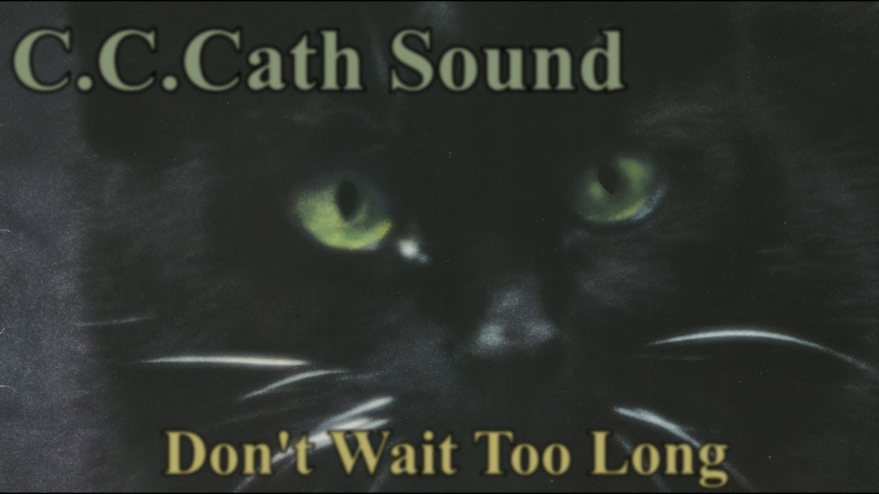C.C.Catch - Don't Wait Too Long (Ryan Benson vers.2017)