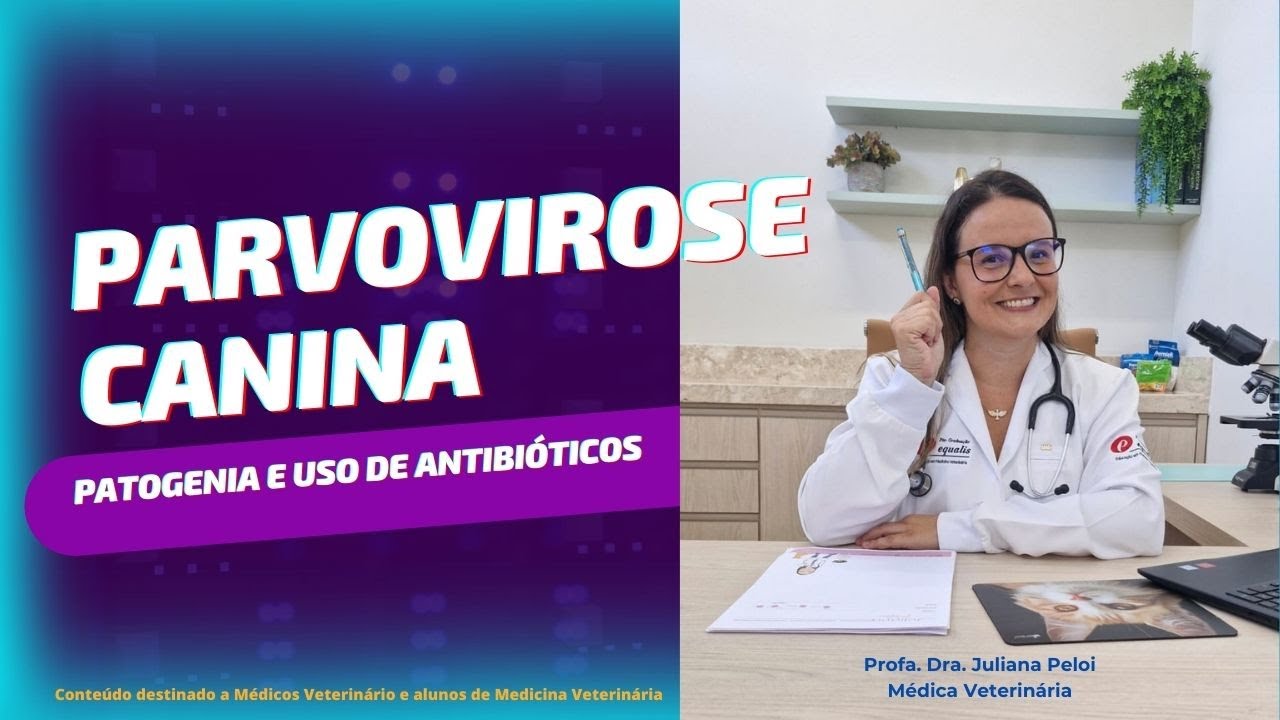 Por quê prescrever antibióticos para o paciente com parvovirose?