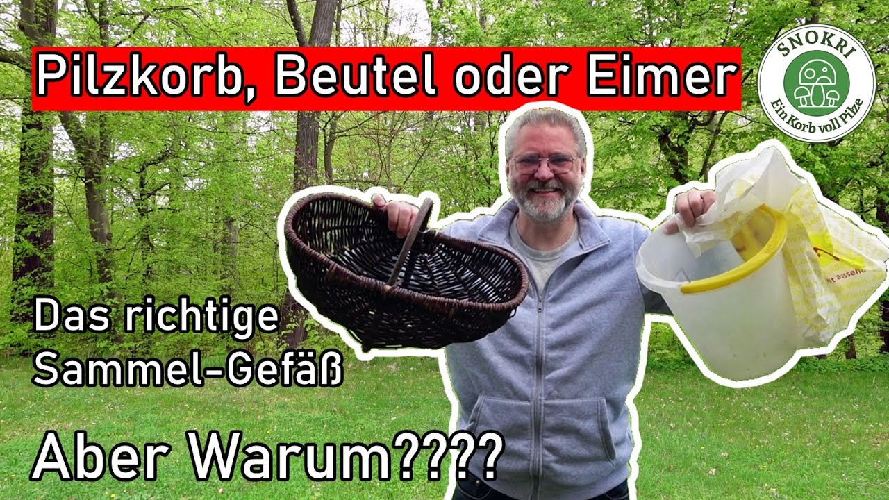 Pilzkorb, Eimer oder Beutel - Was ist das beste Sammelgef&auml;&szlig; f&uuml;r Pilze und - Pilze richtig sammeln