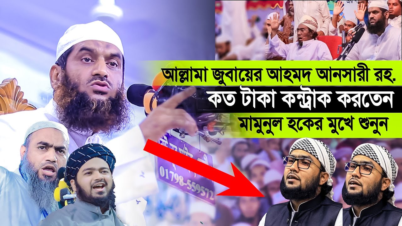 আল্লামা জুবায়ের আহমদ আনসারী রহ. ওয়াজে কত টাকা কন্ট্রাক করতেন? শুনে আসি আল্লামা মামুনুল হকের মুখে