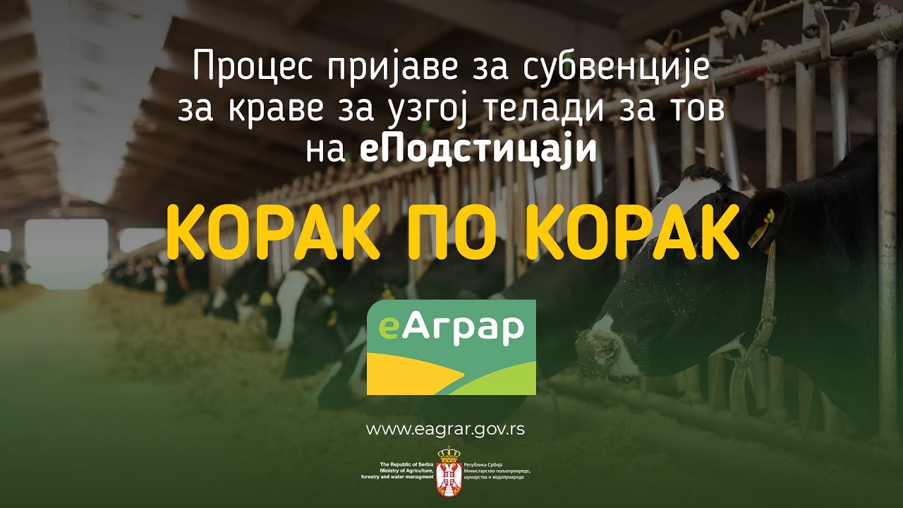eAgrar: Prijava za subvencije za krave za uzgoj teladi
