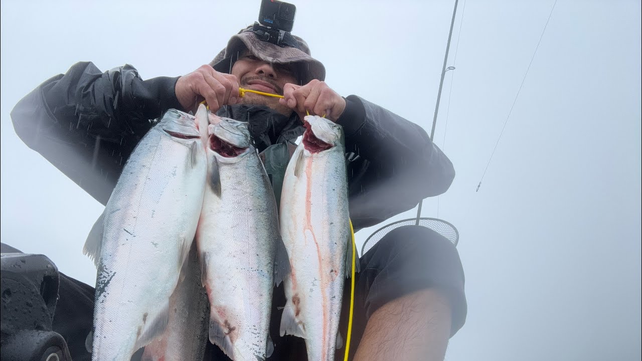 Chasing Pink Salmon in the Puget Sound