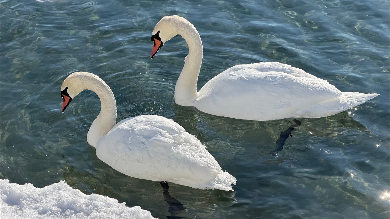 Hike. Pickering waterfront winter hike.   #hike #winter #lake #hiking