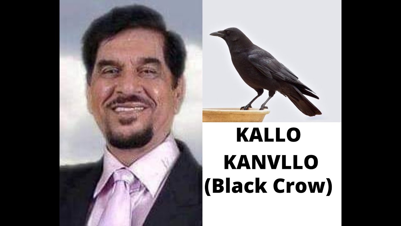 KALLO KANVLLO (The Black Crow)
