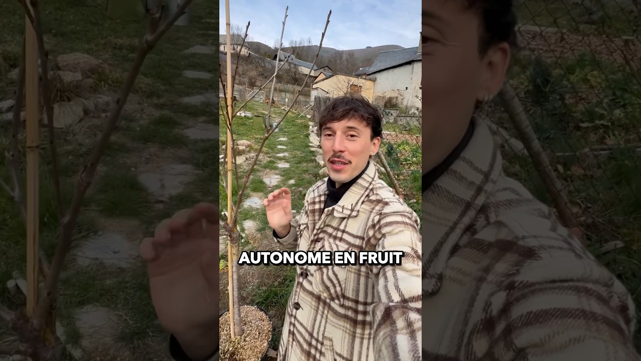 CHOSES &Agrave; SAVOIR POUR PLANTER UN ARBRE FRUITIER 🍒