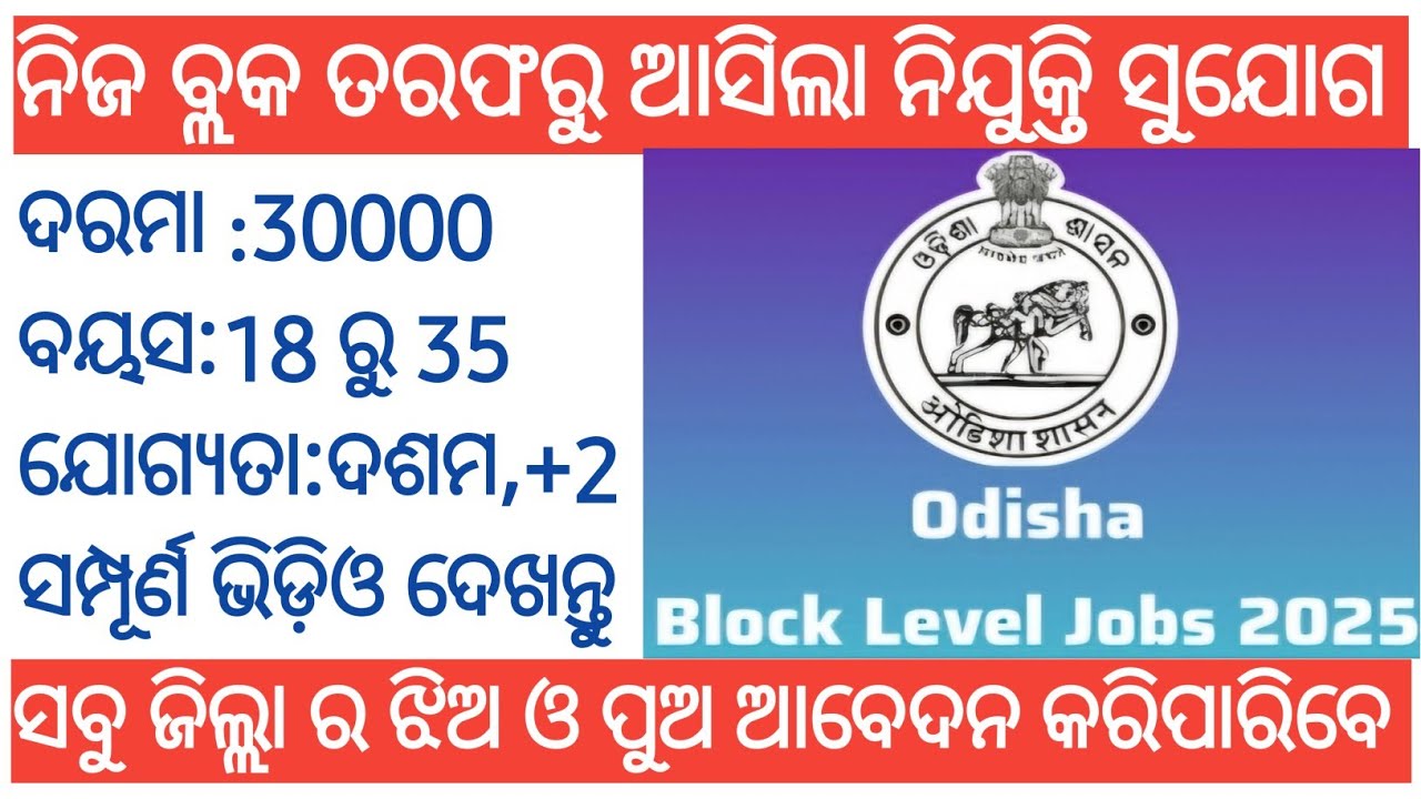 Block Level Jobs in Odisha 2025!Block Coordinator Vacancy 2025!How to apply online block level job