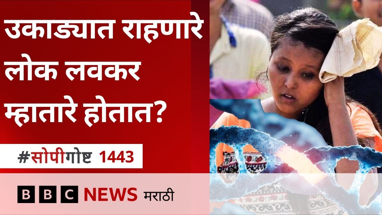 Impact of heat on DNA : उष्ण प्रदेशात राहून Diabetes, Heart problems लवकर होतात का?