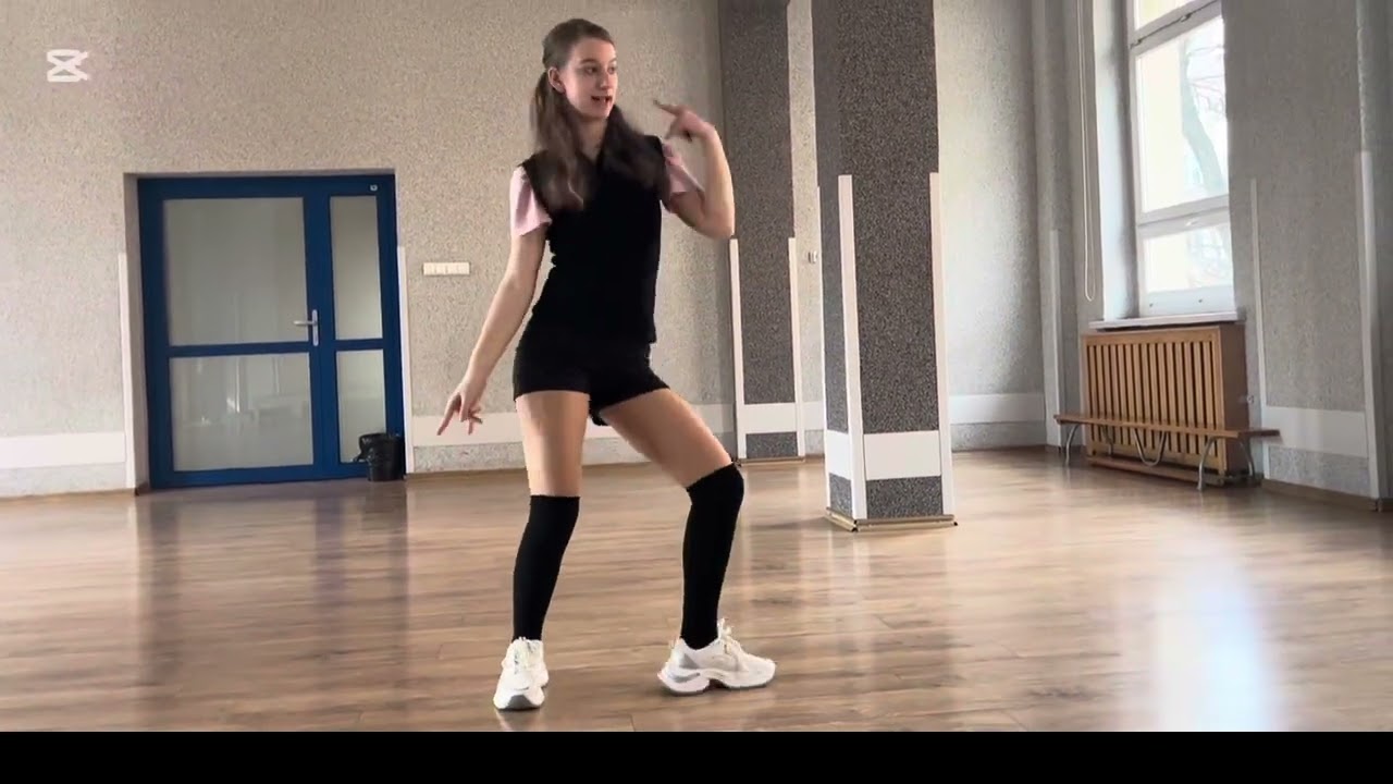 Pink venom blak pink dance 1 member
