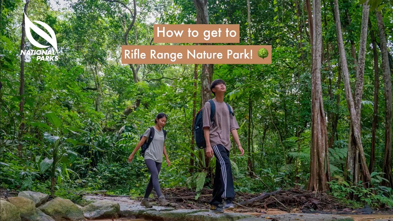 Rifle Range Nature Park | How To Get There