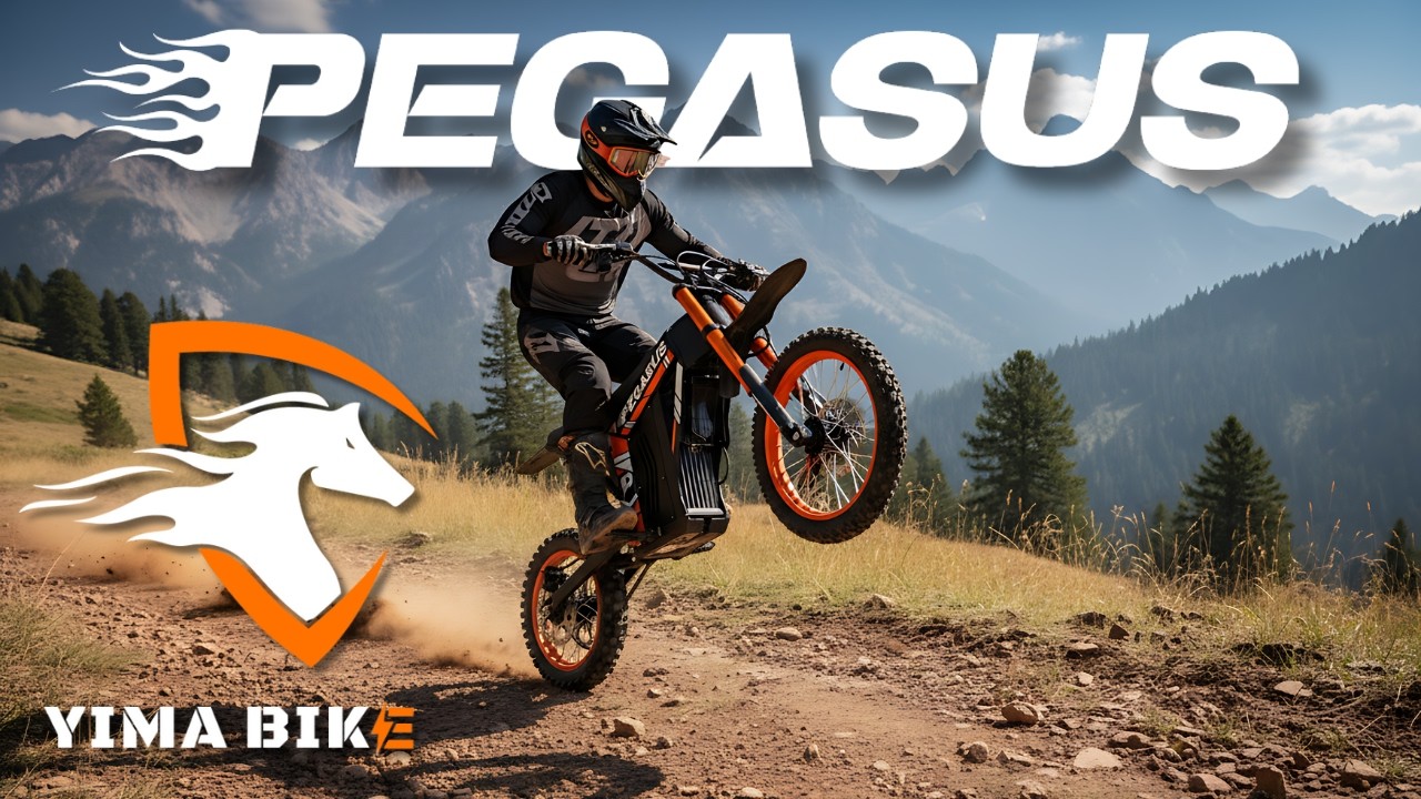 ¡Probando la nueva Motocross Pegasus de Yima Bike!