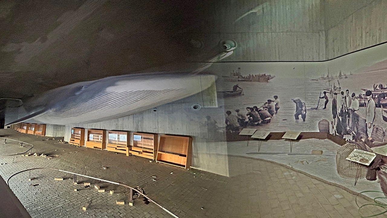 Encontramos ENORME BALLENA en un MUSEO MARINO ABANDONADO - GASTARON MILLONES de EUROS