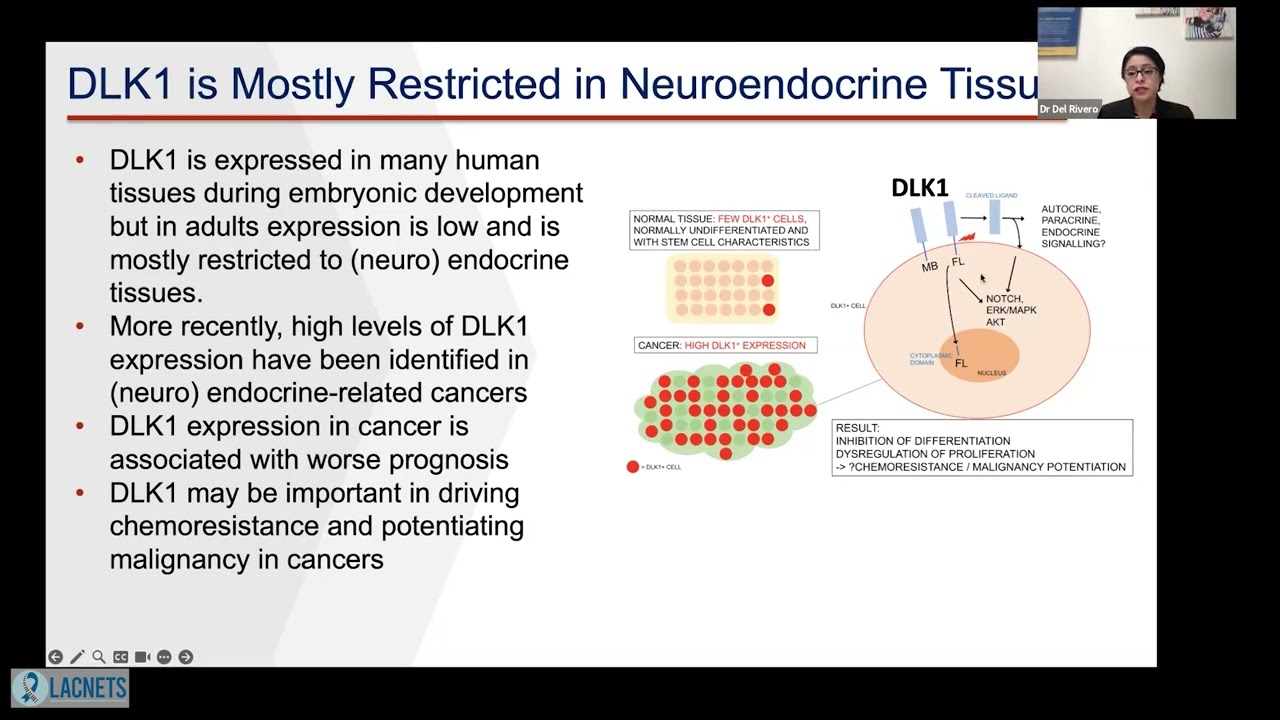 LACNETS &bull; Antibody Drug Conjugate ADCT-701 &bull; Dr. Del Rivero