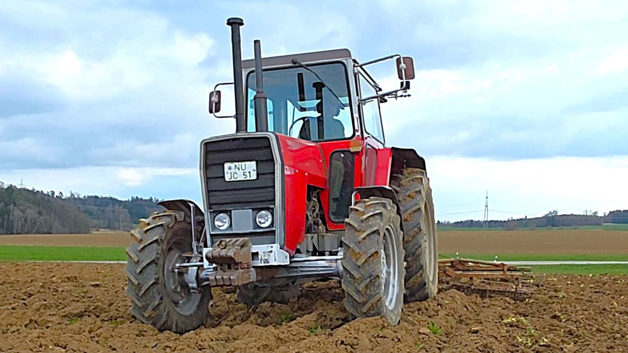 Massey Ferguson 590 Oldtimer & Eberhardt harrow during seed preperation 2025
