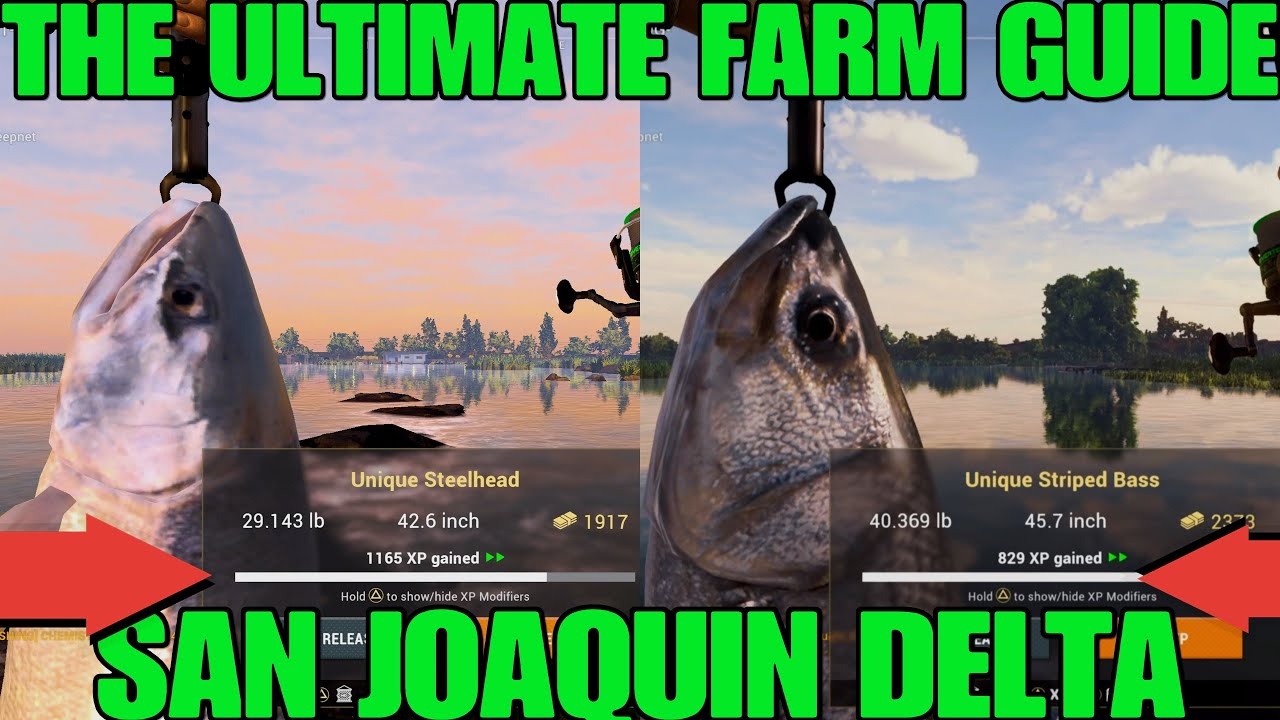The Ultimate Guide For Xp And Cash In San Joaquin Delta - Must Try - Fishing Planet
