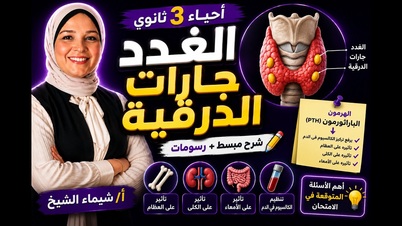الغدد جارات الدرقية / شيماء الشيخ / احياء الصف الثالث الثانوي