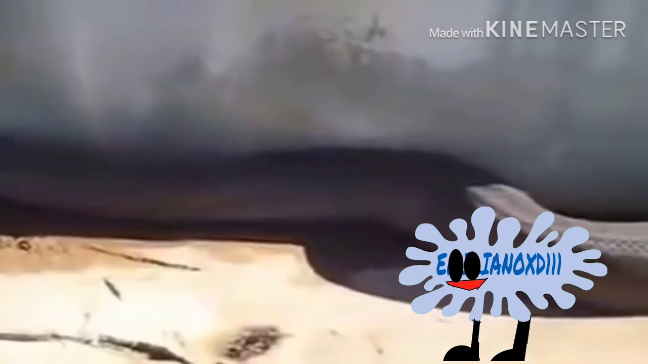What happens if EmilianoYTP watches Snake JUMPSCARE?