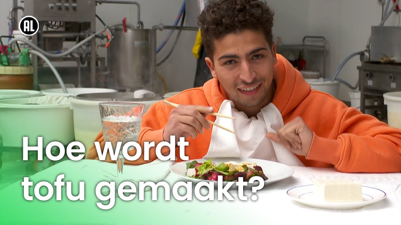 Hoe wordt tofu gemaakt? | Doen Ze Dat Zo?