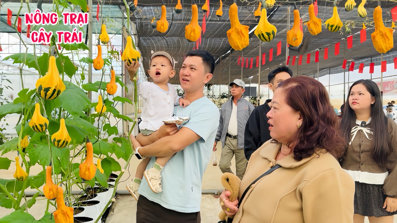 Cùng Đại Gia Đình Tham Quan Nông Trại Cây Trái Đà Lạt Nhìn Là Mê