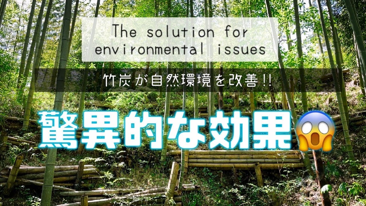 【ブラックダイアモンド】竹炭が地球を救う〜地球環境を守る重要な資源〜　Bamboo charcoal is the solution for the environmental issues.