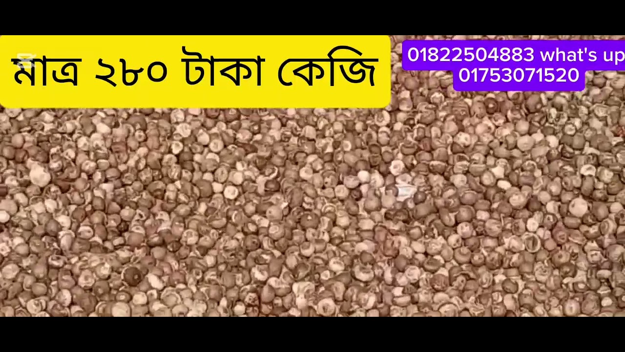 শুকনো সুপারির আপডেট  জানতে যোগাযোগ করুন মেসার্স রাশেদ ভাই এগ্রিকালচার পয়েন্ট 