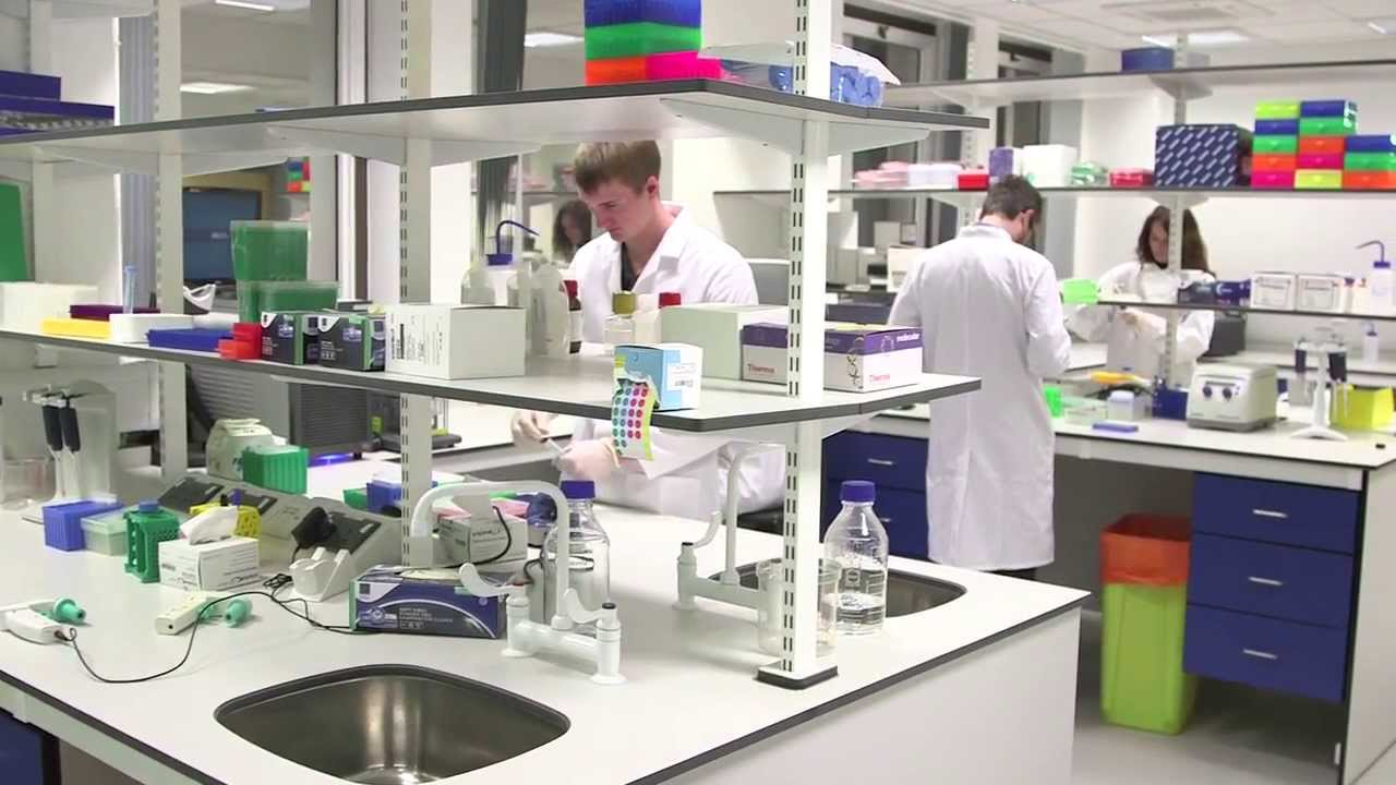 Genetics and genomics laboratory - Royal Brompton Hospital