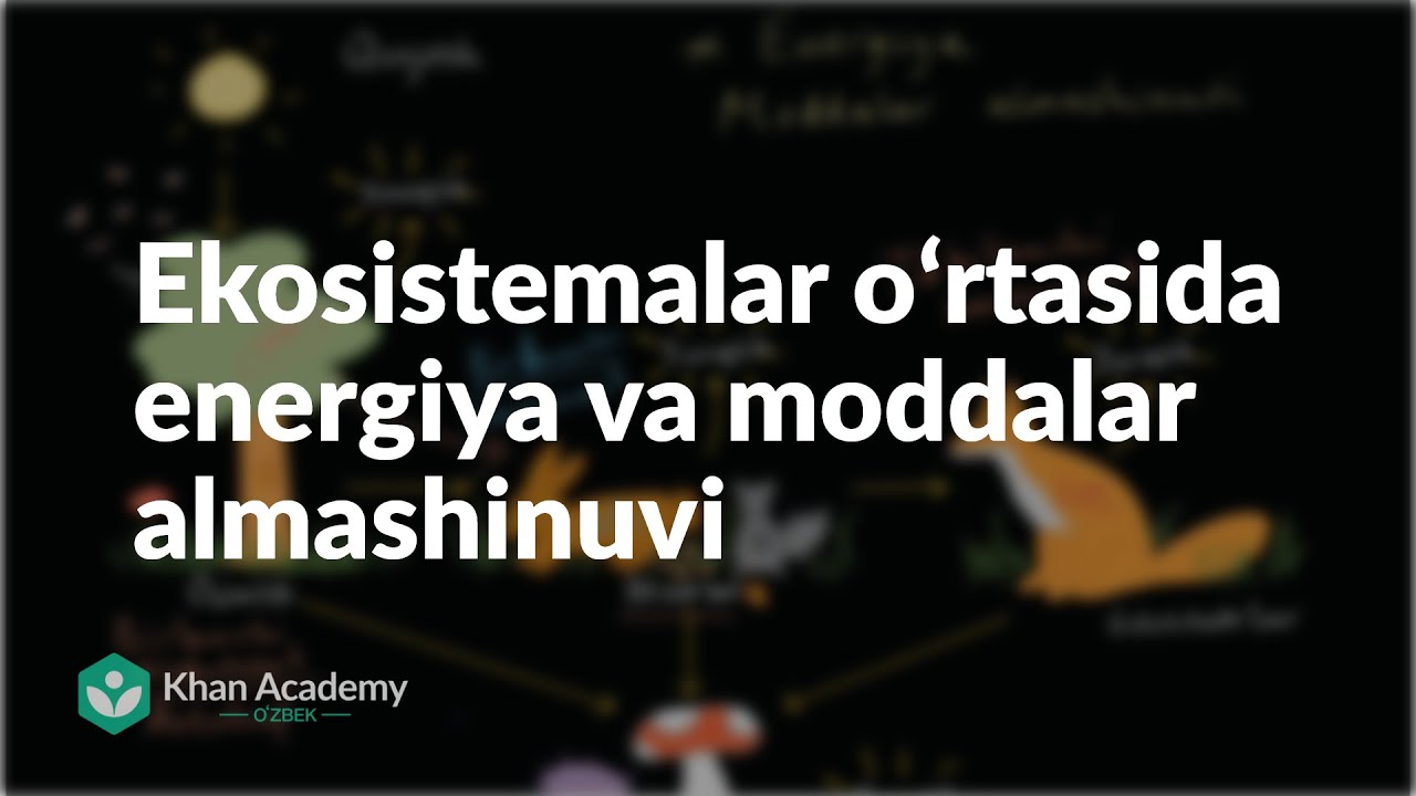 Ekosistemalar oʻrtasida energiya va moddalar almashinuvi | Ekologiya | Biologiya