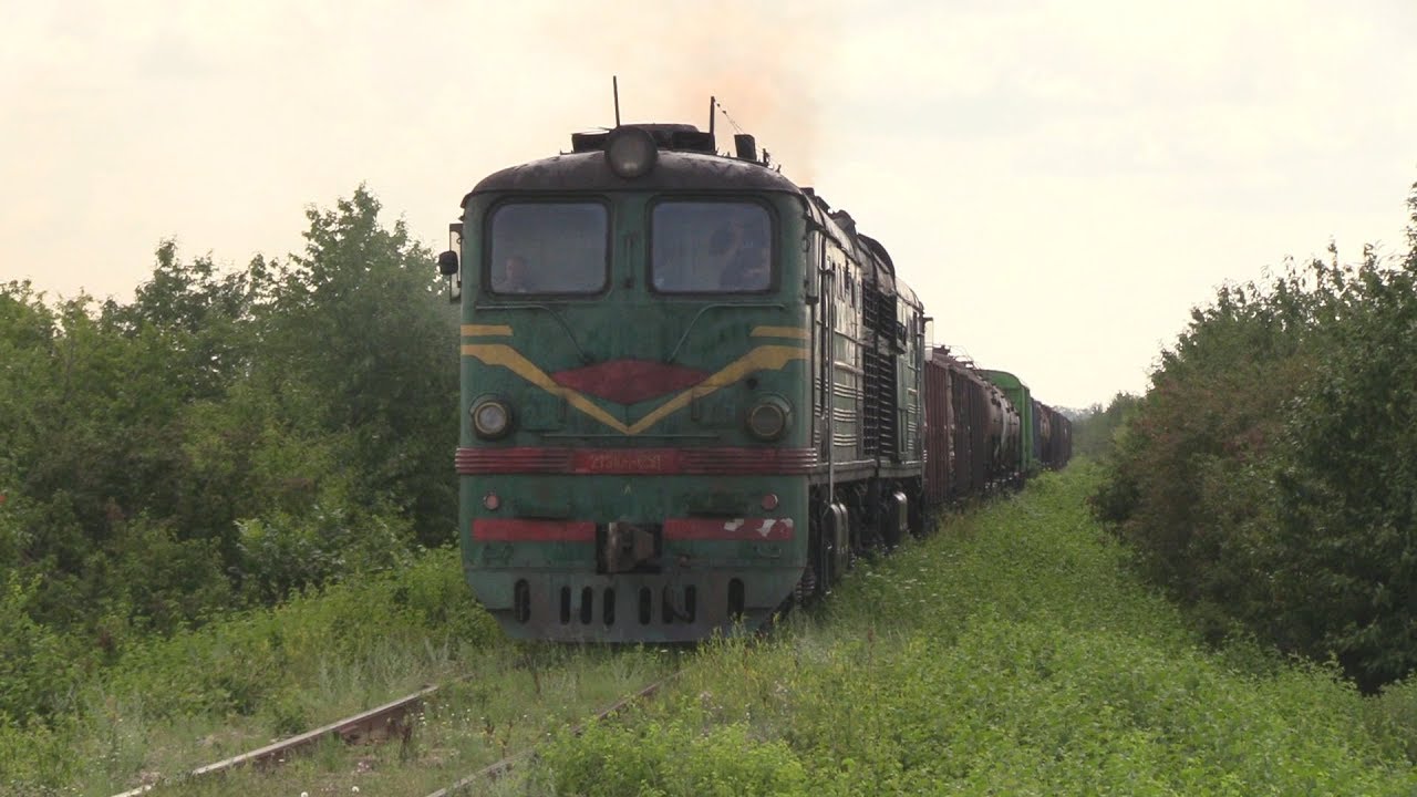 Тепловоз 2ТЭ10Л-1250А/792А в траве / 2TE10L-1250A/792A in grass