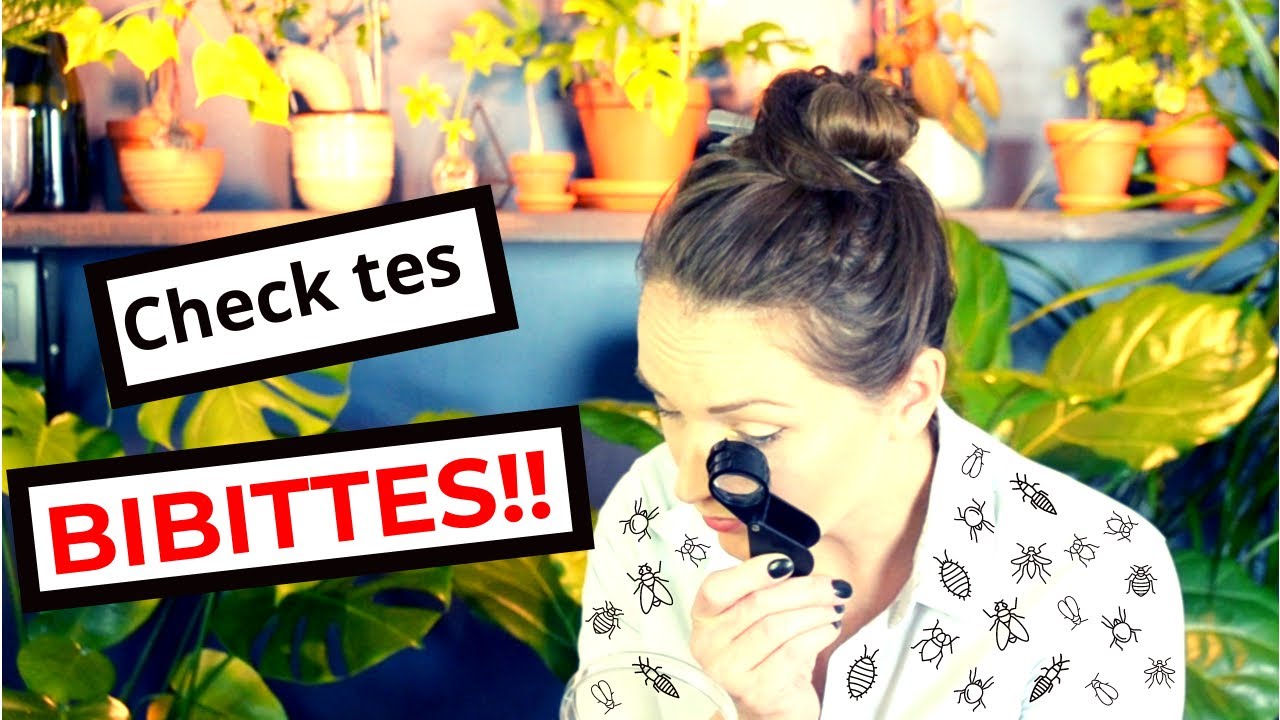 Check tes bibittes avec une loupe!