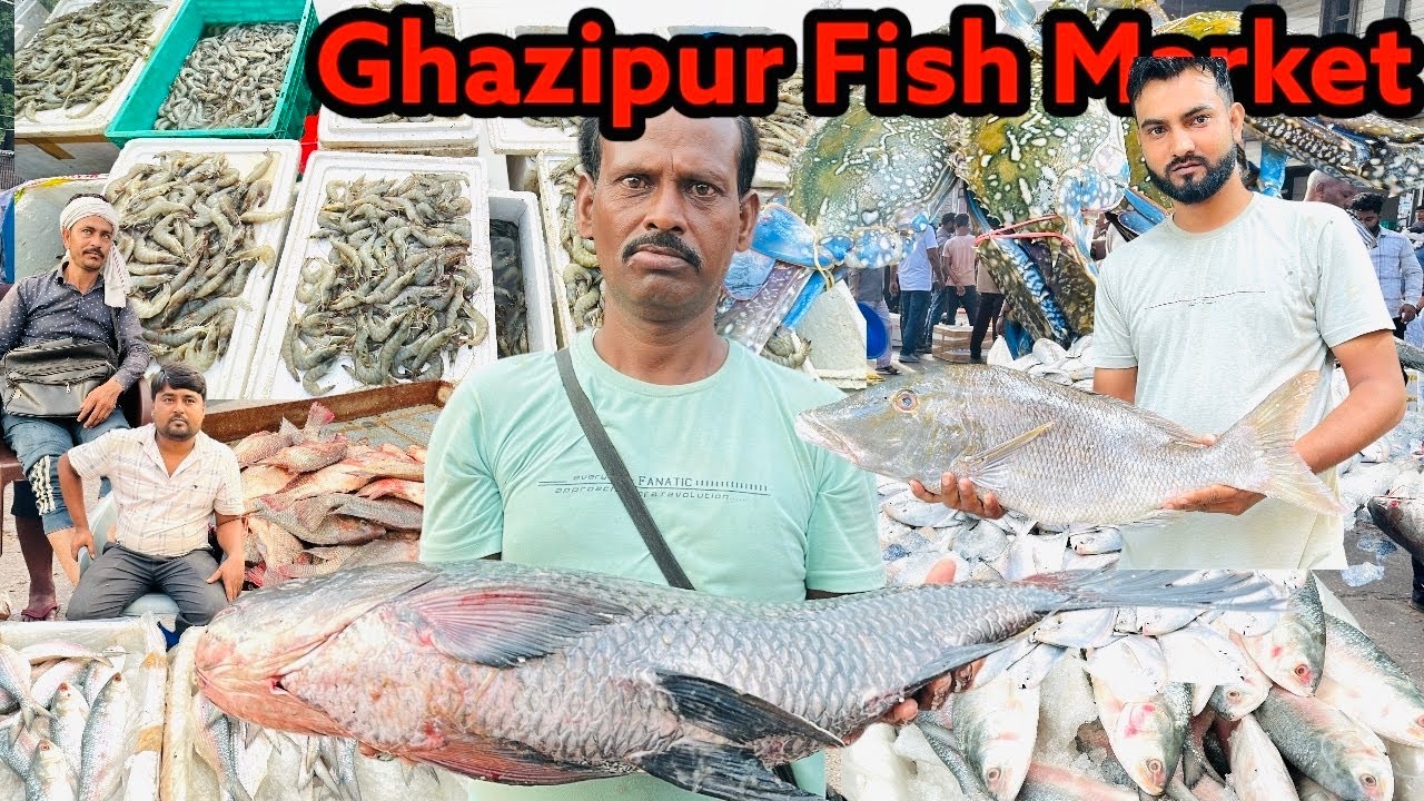 Wholesale Fish Market In Delhi| Ghazipur Fish Market |गाजीपुर मछली मंडी |Indian Fish Market Delhi |