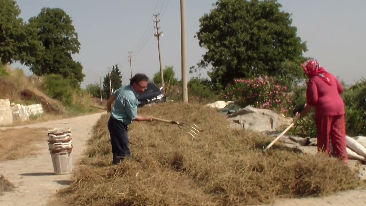 Celal Öz - Dostum