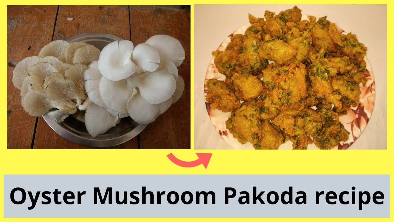 Oyster Mushroom Pakoda recipe | जानिए कैसे बनाएं ओएस्टर मशरूम के पकोड़े | very simple recipe in hindi