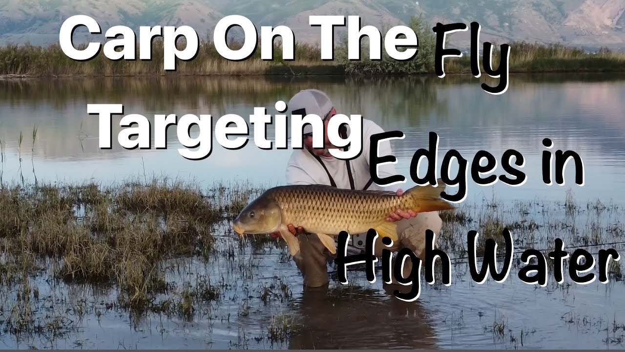Carp Fly Fishing - Targeting Edges in High Water - Carp On The Fly