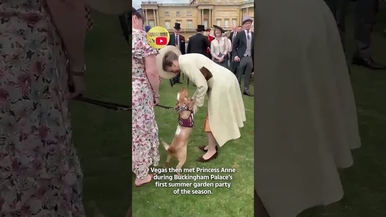 Over-excited dog steals the show at the first summer Garden Party at Buckingham Palace