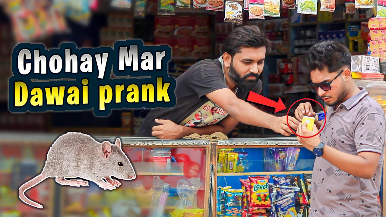 Chohay Mar Dawai Prank | Prank in Pakistan | Zaid Chulbula