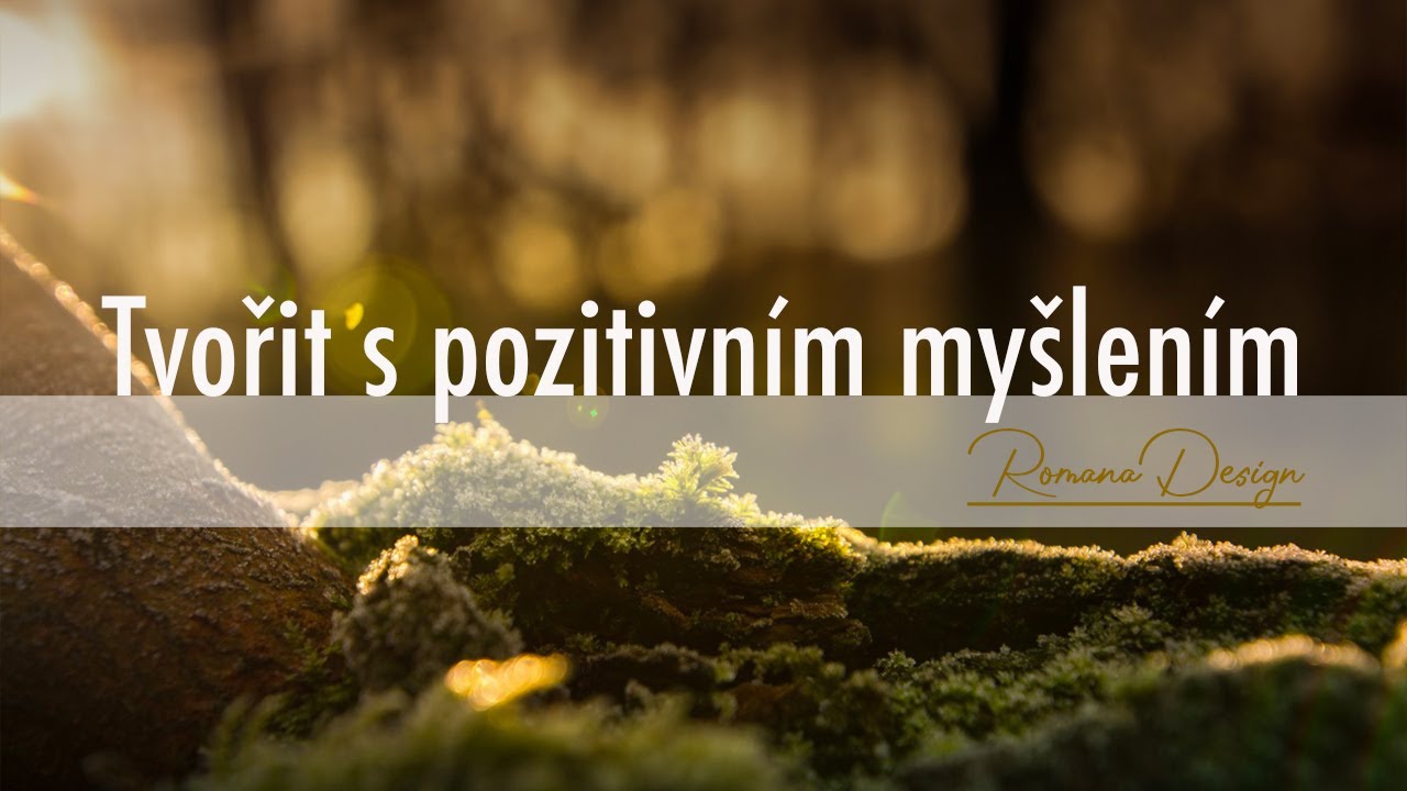JAK VN&Iacute;M&Aacute;M SVOJI TVORBU