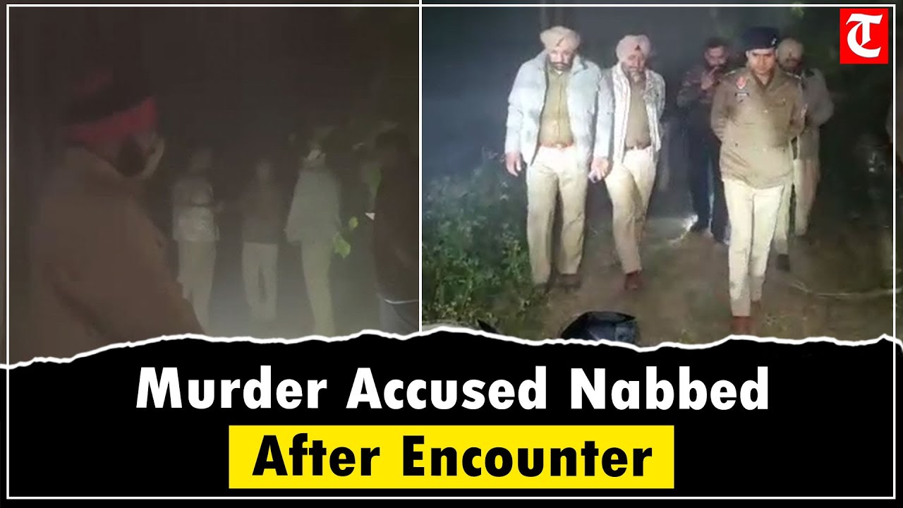 Hoshiarpur Murder Case: Main Accused Arrested After Police Encounter Near Tanda