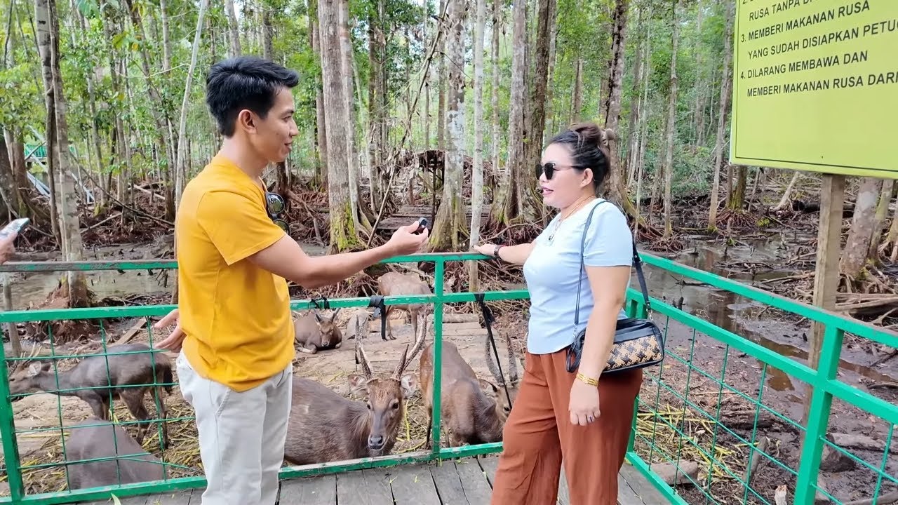 WISATA HUTAN KOTA NYARU MENTENG ARBORETUM PALANGKARAYA, PROVINSI KALIMANTAN TENGAH