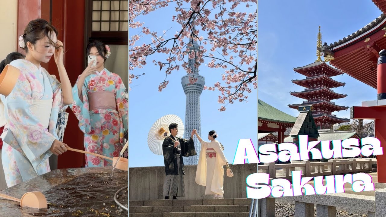Tokyo Walking | Early Sakura at Asakusa 🌸　4K