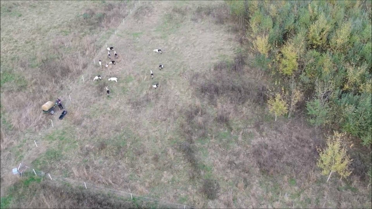 Pflege2019 Vogelperspektive