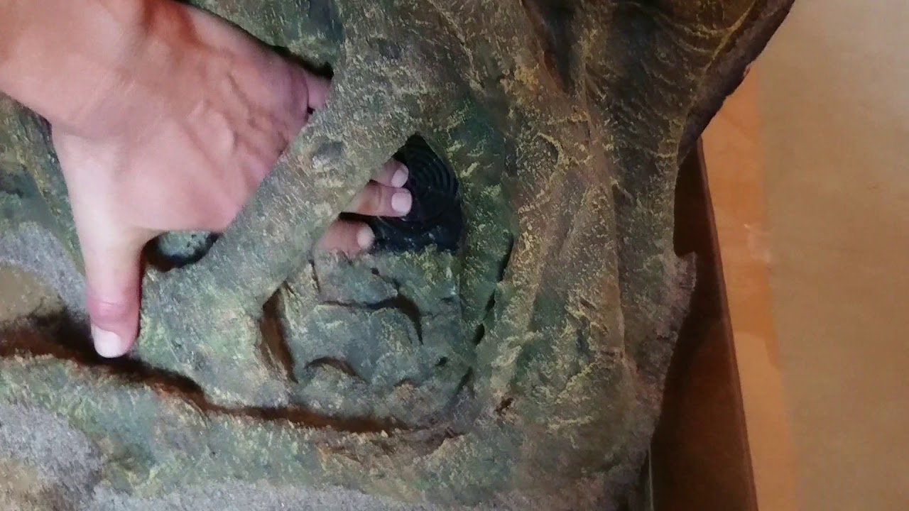 Akvastabil Fusion 250 L med RockZolid Tree Trunk baggrund