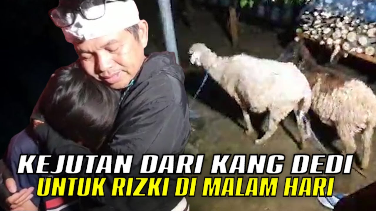 ISI AMPLOP RIZKI BERTAMBAH-SAAT MALAM HARI KANG DEDI KASIH KEJUTAN 2 EKOR DOMBA