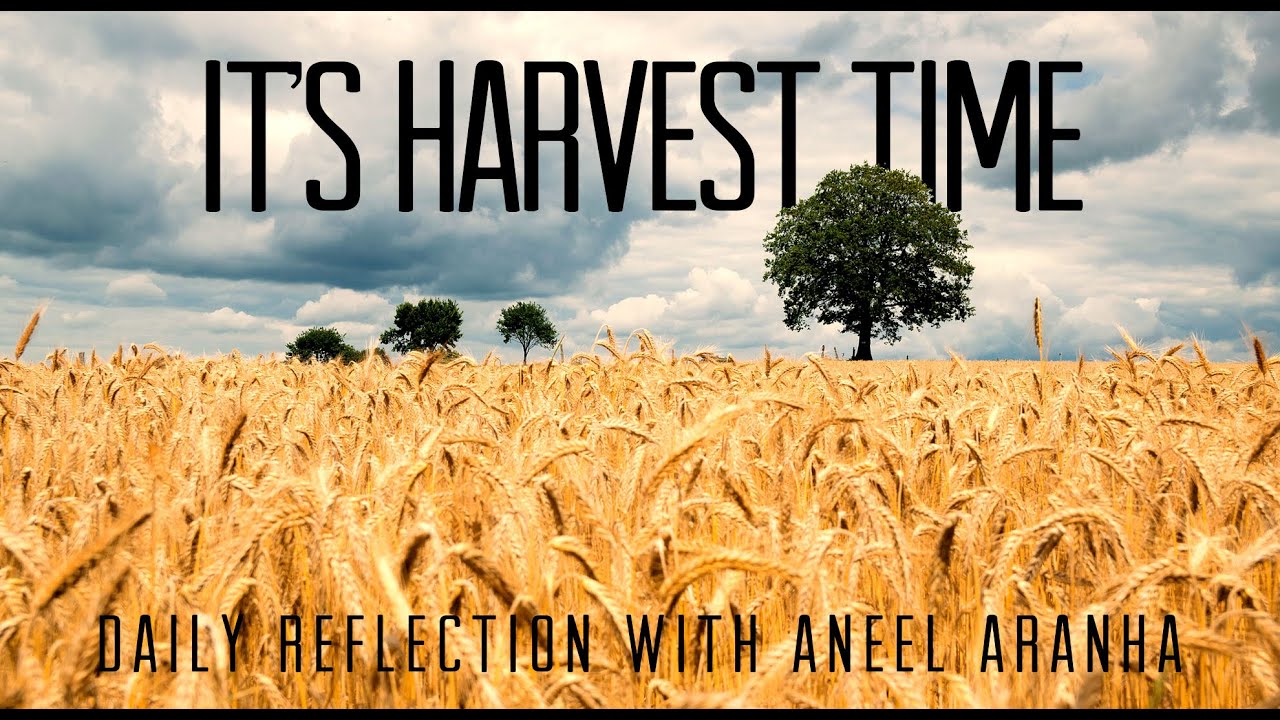 Daily Reflection with Aneel Aranha | Matthew 9:35-10:1, 5-8 | December 7, 2019