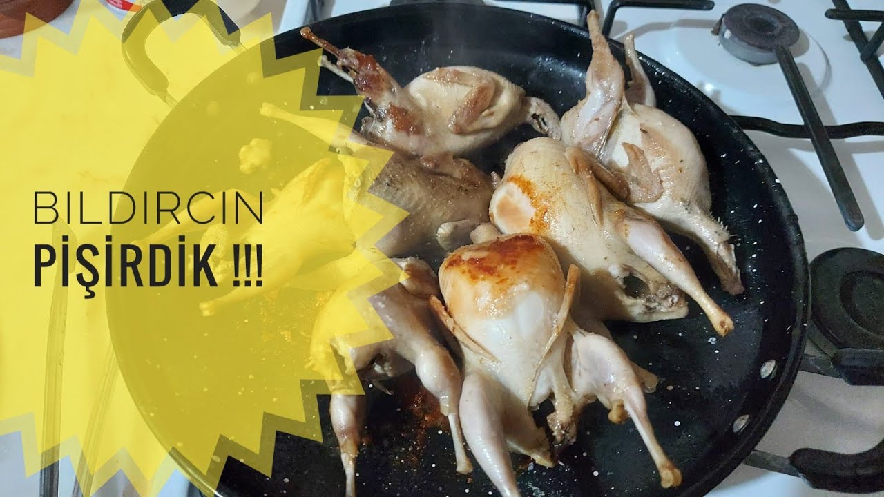 HACI BABAYA BILDIRCIN KESTİK VE PİŞİRDİK !!!!! 