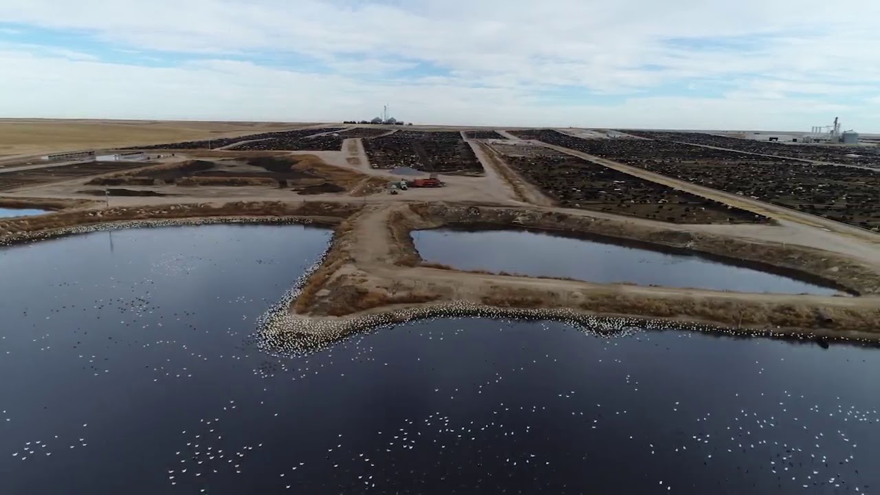 Ultimate Compilation: Drones Expose Factory Farming Across America