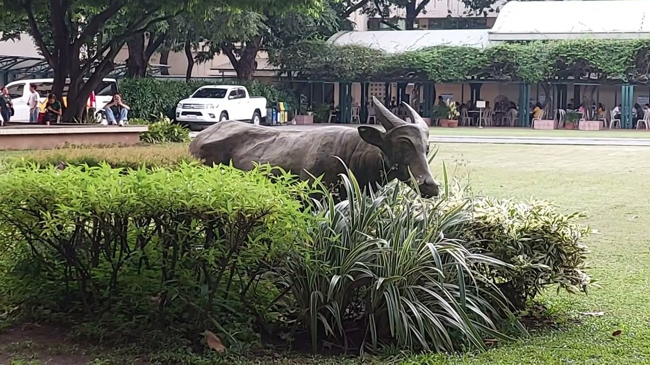 FAR EASTERN UNIVERSITY (Campus Tour)
