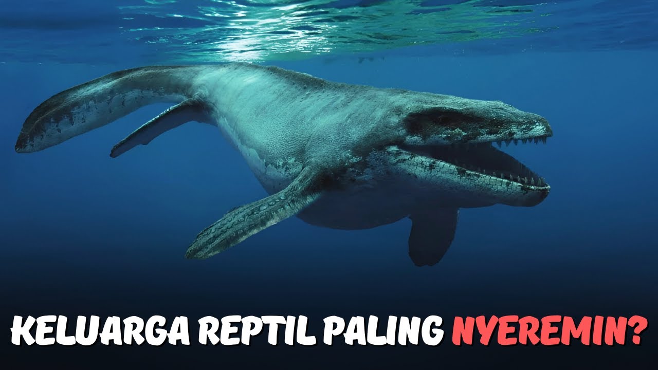 Mereka Bukan Dinosaurus, Tapi Lebih Ngeri: Geng Mosasauridae!