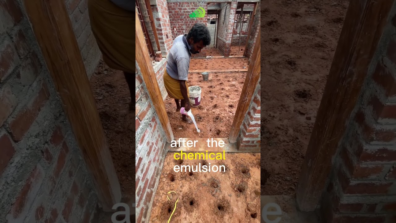 Anti-termite Treatment!!! #construction #termitecontrol