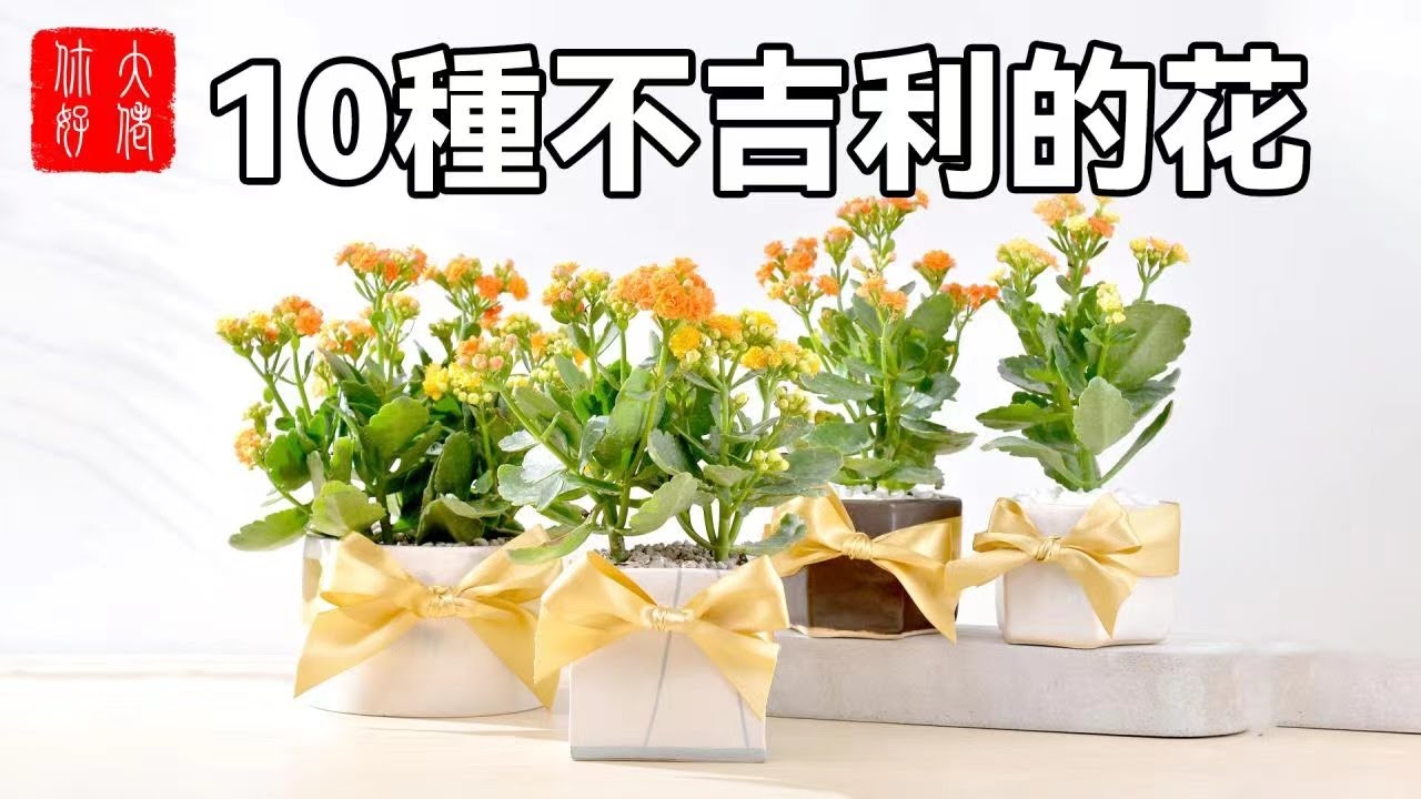 10種不吉利的花，誰養誰倒霉，看看你們家有嗎！#大佬你好啊