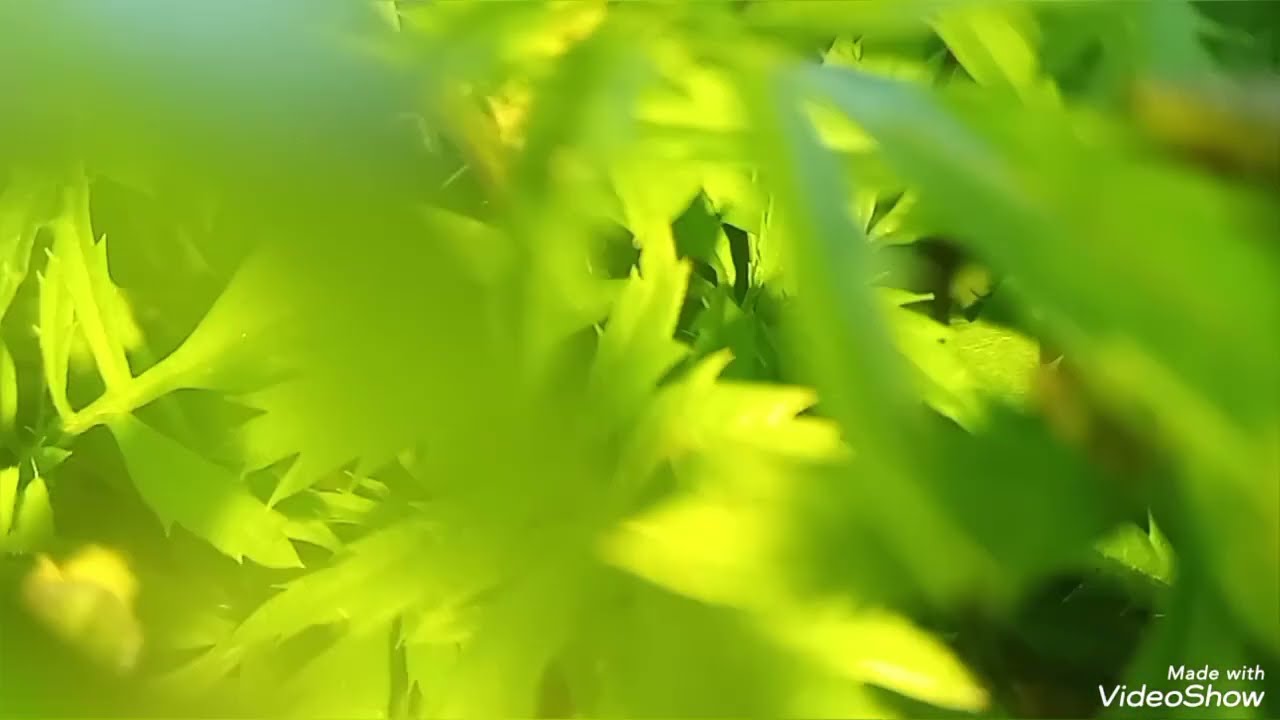 قصة امازيغية حبيتو وتزوجتو فالسر والصدمة ملي مات 😱 قصة العبرة 🥹